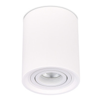 Купить с доставкой по Москве и России Накладной светильник ST-Luce ST156.502.01