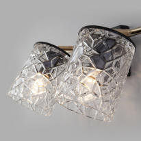 Спот Eurosvet 20095/2 черный/золото в интернет магазине Гет Лайт