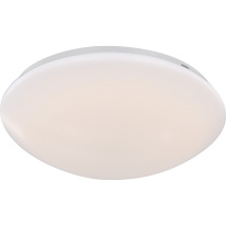 Купить Накладной светильник Globo 41672