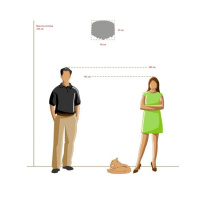 Купить с доставкой по Москве и России Накладная люстра MW-Light 465011305