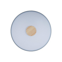 Купить Накладной светильник LOFT IT 10003/24 Grey