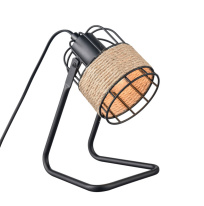 Фото Настольная лампа Vele Luce VL6472N01