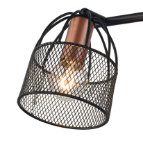 Купить Спот Vele Luce VL6452W02