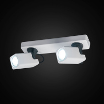 Купить Спот Citilux CL533620