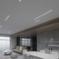 Купить Светильник на шине Elektrostandard Slim Magnetic L02 Трековый светильник 20W 4200K (белый) 8500