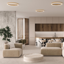 Накладной светильник Maytoni MOD058CL-L35BSK Купить с доставкой по Москве и России Накладной светильник Maytoni MOD058CL-L35BSK