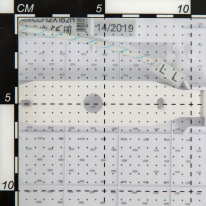Купить Накладной светильник Citilux CL712180N