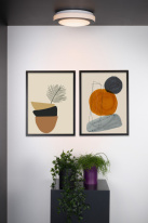 Цена на Накладной светильник LUCIDE 79179/12/30