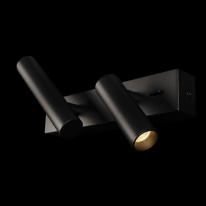 Купить с доставкой по Москве и России Спот LOFT IT 10260/2W Black