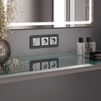 Купить с доставкой по Москве и России Рамка Werkel W0032440