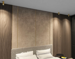 Цена на Накладной светильник Denkirs DK2051-SG