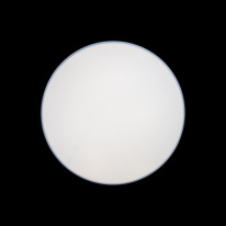 Цена на Накладной светильник LOFT IT 10002/48 Black