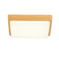 Купить Накладной светильник Evoluce SLE200202-01