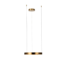 Купить Подвесной светильник LOFT IT 10013S