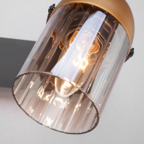 Купить Спот Eurosvet 20122/2 черный/золото