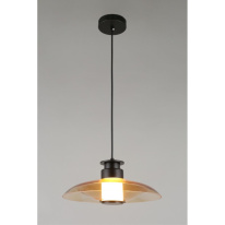 Купить Подвесной светильник APLOYT APL.648.16.10