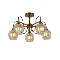 Фото Люстра на штанге Evoluce SLE110002-05