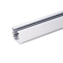 Шинопровод Elektrostandard TRL-1-3-100-WH Фото Шинопровод Elektrostandard TRL-1-3-100-WH