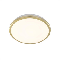 Фото Накладной уличный светильник Citilux CL702162W