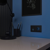 Цена на Розетка Werkel W1171408